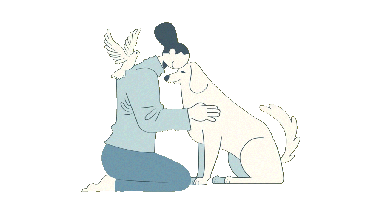 Animation Pet
