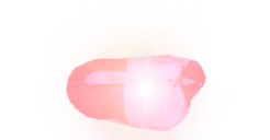 chicken_edited_edited_edited_edited_edit