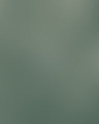 Ordre de passage • Concours des jeunes altistes