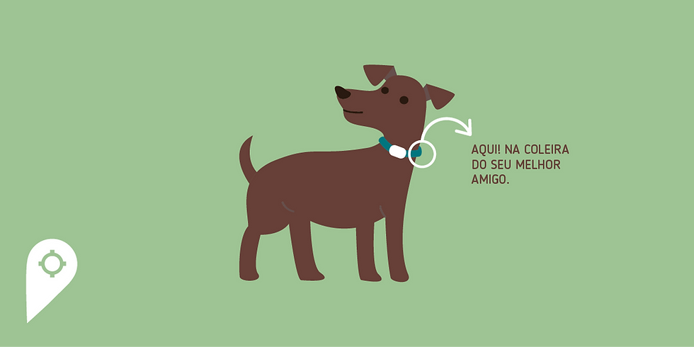 Como rastrear um animal de estimação?