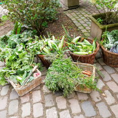 vegetables.png