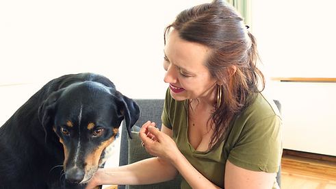 Ein privater Einblick.png