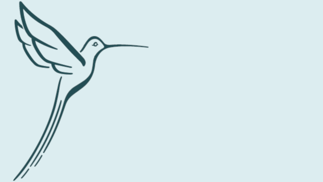 Free-Up Coaching und Gesichtsanalyse Logo