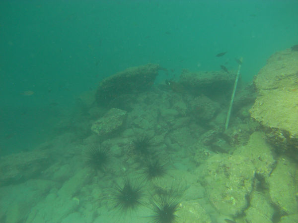M0030274.JPG