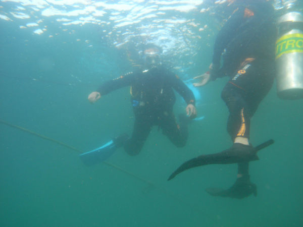 M0030277.JPG