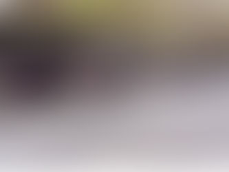 歷史上的今天（4月25日）