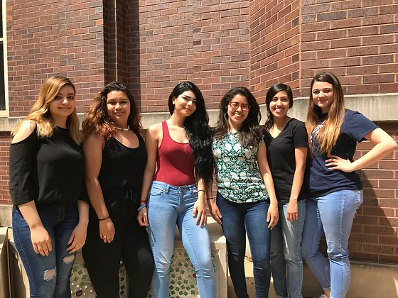 Blog Chicago Brighton Park Neighborhood Council