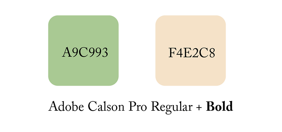 Screen Shot 2021-04-18 at 4.11.14 PM.png