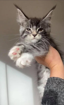 247727514_2672080993093677_4026504416167952943_n