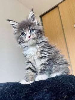 179367806_2553576721610772_2860477500016266504_n