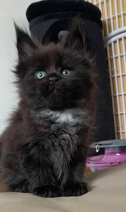 241234572_2637227983245645_7567574525977005314_n