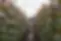 DSC_1140.webp