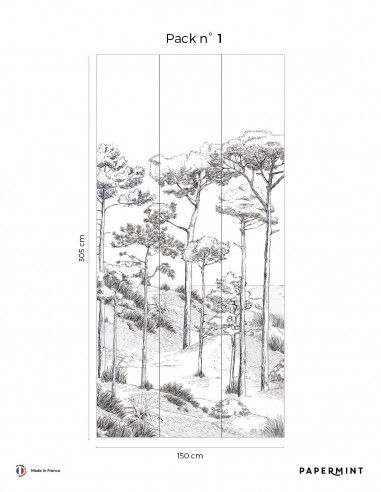 Miniature : Panoramique Les Pins
