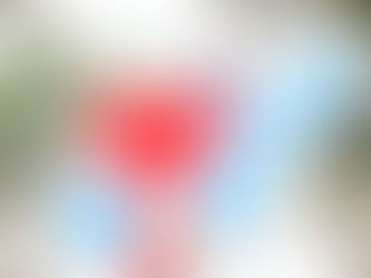  *Покровчанин Эрхан Кривошапкин отдыхает в легендарной стране детства*👦🏻☀️🌊