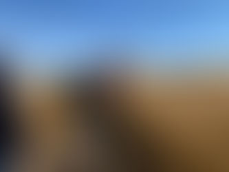 📽🎞📸Съёмки фильма «Там, где танцуют стерхи» 