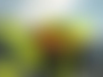 A Look Ahead - Mining Forecast for South Africa & the Global Sector in 2025