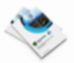 Boniswa Group corporate brochure and company profile mockup.