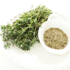 טימין כטיפול טבעי במערכת העיכול