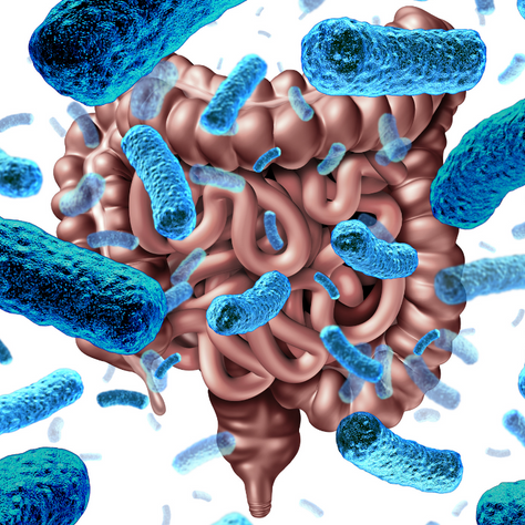 Probiotics as Part of Crohn's and Ulcerative colitis Natural Treatment 