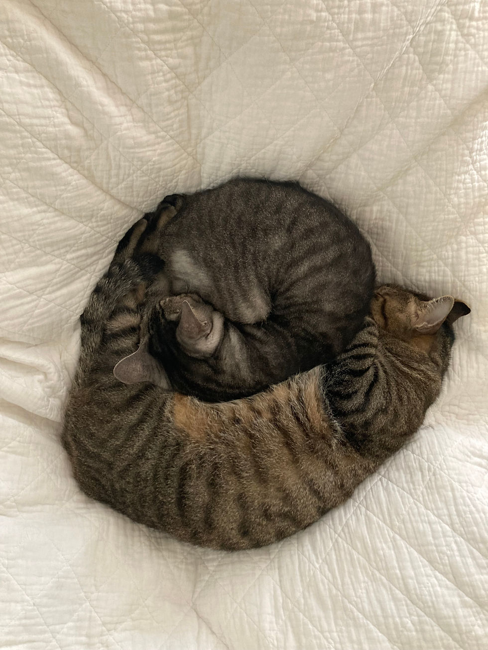 HPからのメッセージはできません。