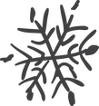 Snowflake