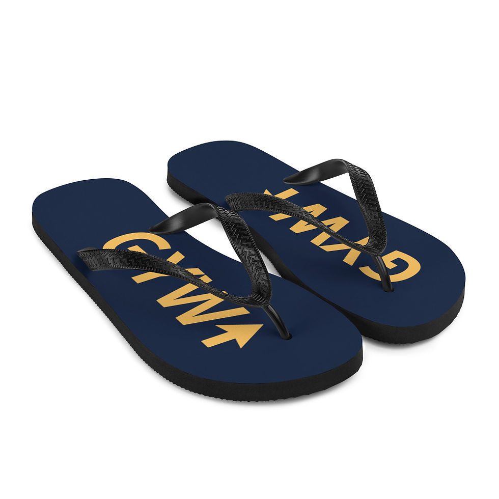 Thumbnail: Flip-Flops