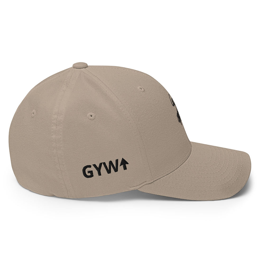 Thumbnail: Structured Twill Cap