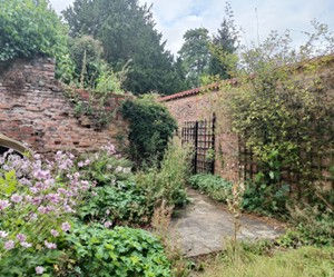 South Ormsby Hall garden