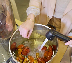 plants dyeing