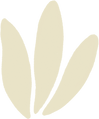 picto_fleur_beige.png
