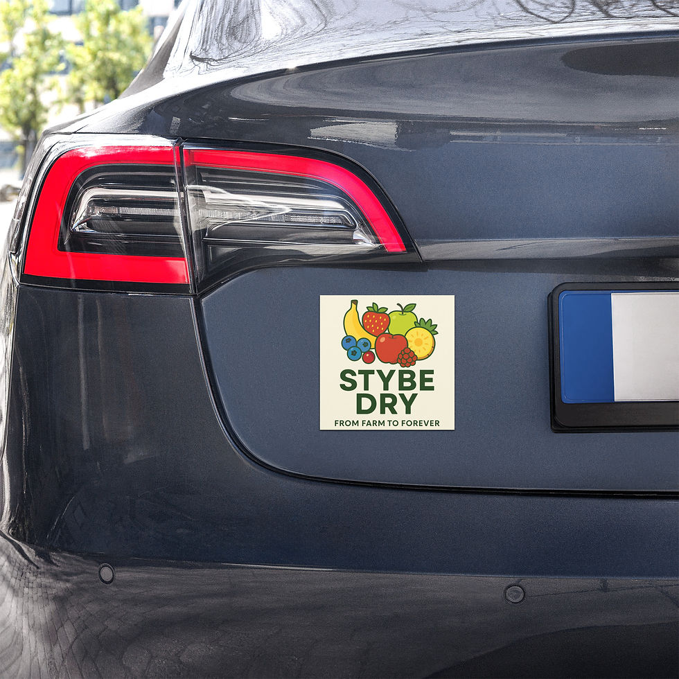Thumbnail: Stybe Dry Vinyl Magnet