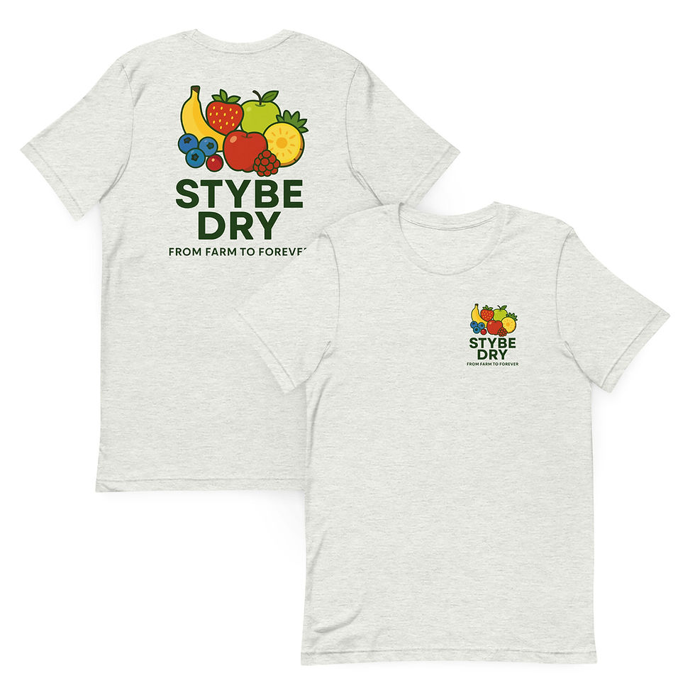 Thumbnail: Stybe Dry Classic T-shirt