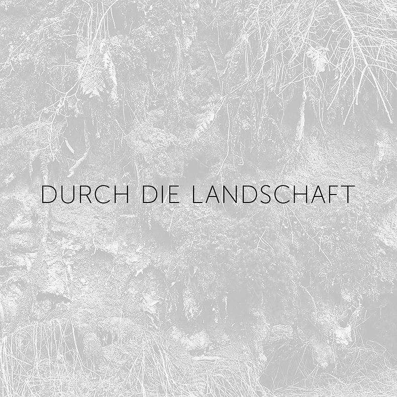 Durch_die_Landschaft.jpg