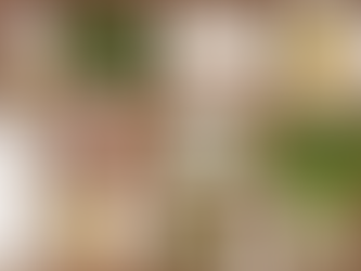 Should I take Calcium Supplements? What are the Risks?