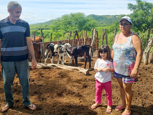 Producers of the Leite Seridó project celebrate the birth of the first IATF calves