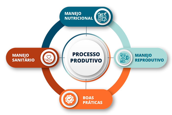 Processo Produtivo