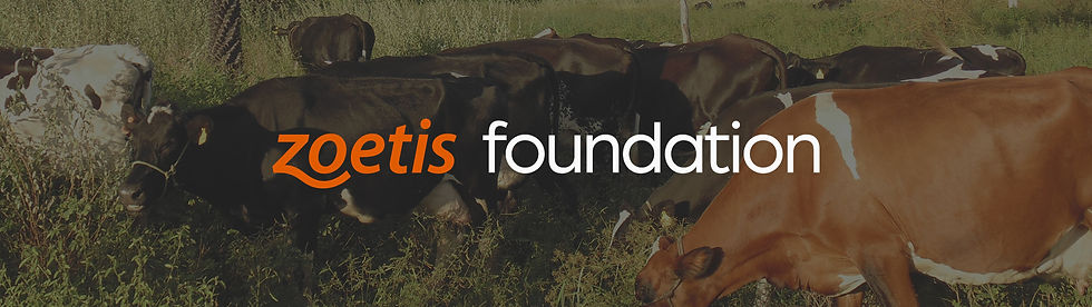 zoetis.jpg