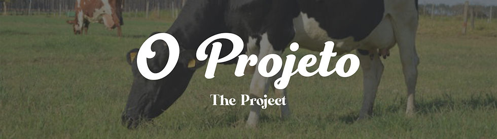 capa-o-projeto.jpg