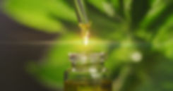 AdobeStock_251993947.jpeg