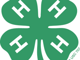 4-H Dog Policy Update