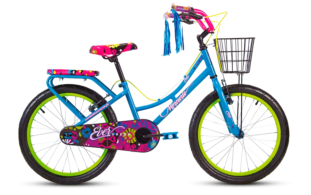 BICICLETAS Rogelio Bicicletas