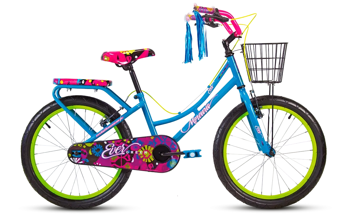 Bici 20" Evergreen Mercurio