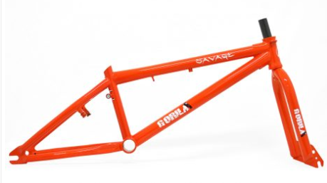 Cuadro Savage Centro Americano Gorila