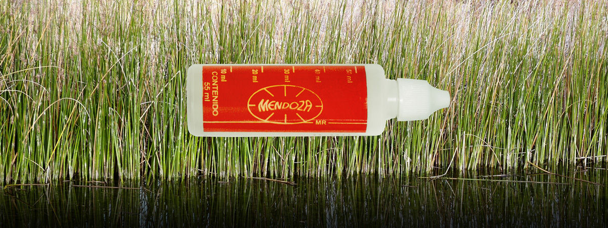 Aceite Mendoza 55 ml.