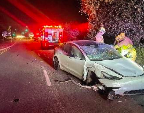 Fire Department Weekly Report - week of October 30 – November 5, 2022