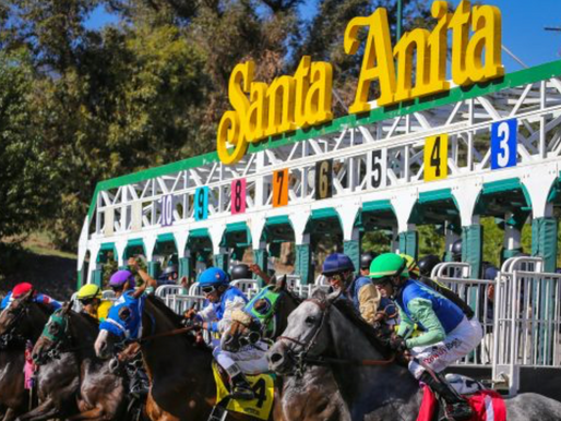SANTA ANITA BEGINS UPDATE TO TRAINING TRACK