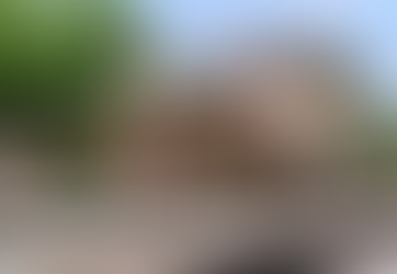 Arcadia Historical Society