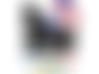 OLYMPICS PLANNING TAKES FLIGHT