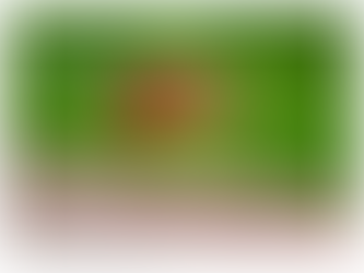 Mosquitoes expected to intercept weekend festivities