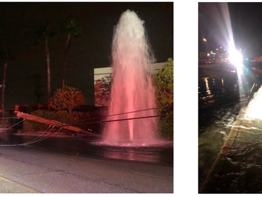 Fire Department Weekly Report - week of December 19 - 25, 2021